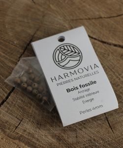 Perles Bois Fossile 4mm, 1 pièce